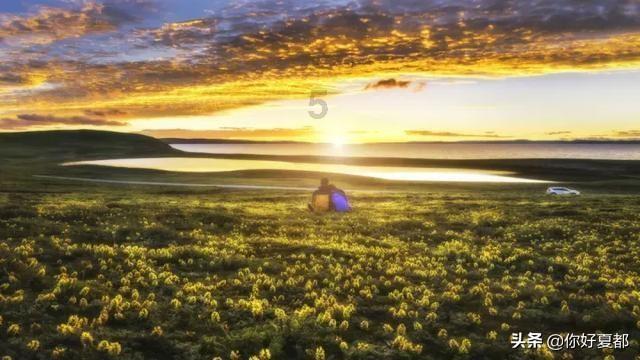 虞书欣配音“宝青坊主”，你觉得她在这方面的水平如何？